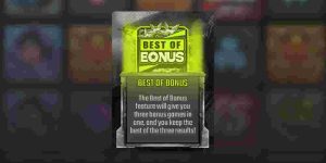 Best of Bonus